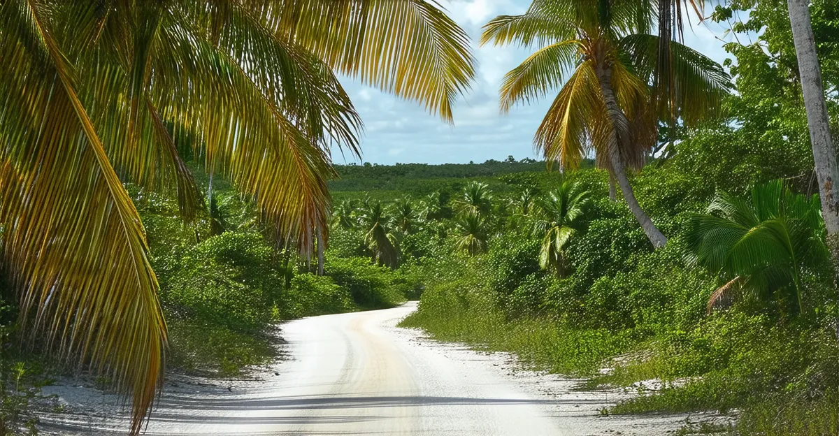 Placencia Scenic Routes: Discover by Bike in 2025