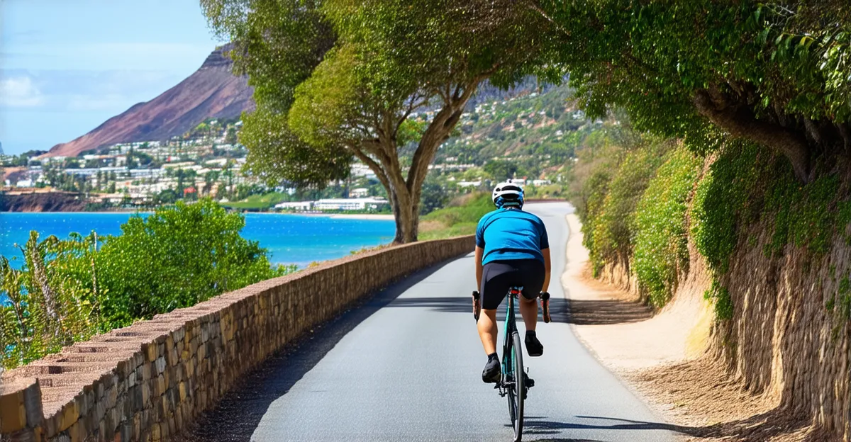 Santa Catalina Scenic Cycling Routes 2025: Must-See Spots