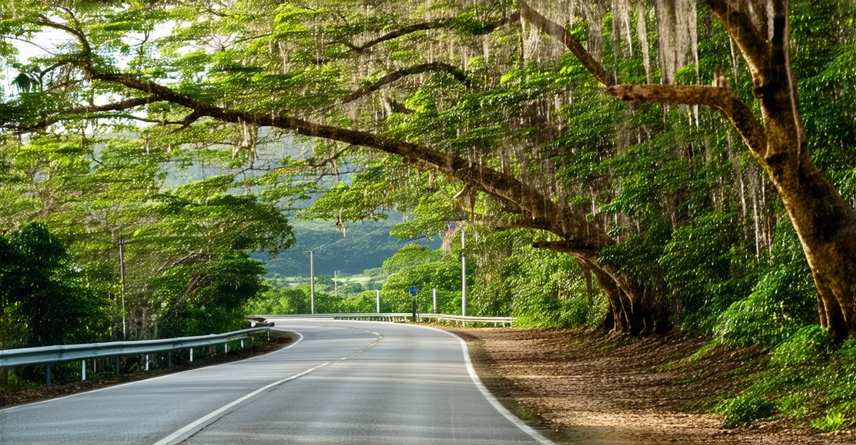 Santo Domingo Scenic Routes 2025: Explore on Foot or Bike